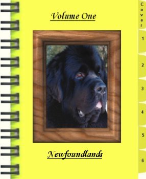 scrapbook_v1_image.jpg 17.3 Kb